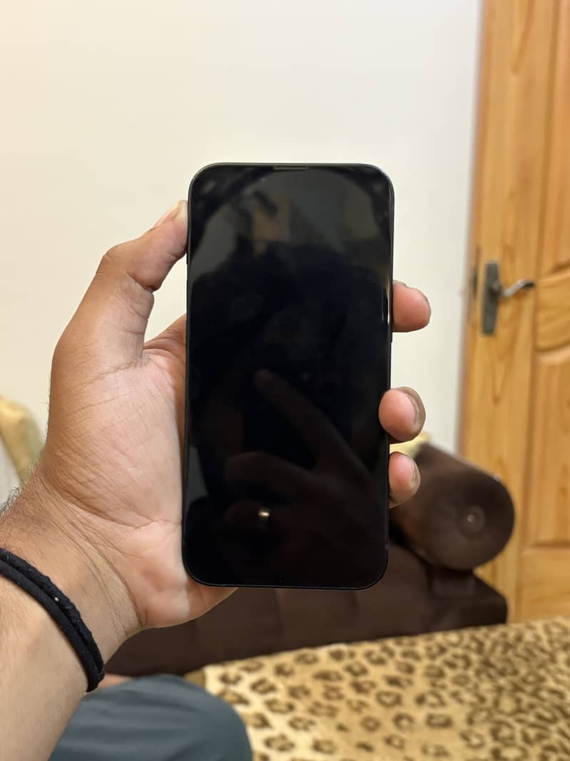 Apple iPhone 13 0