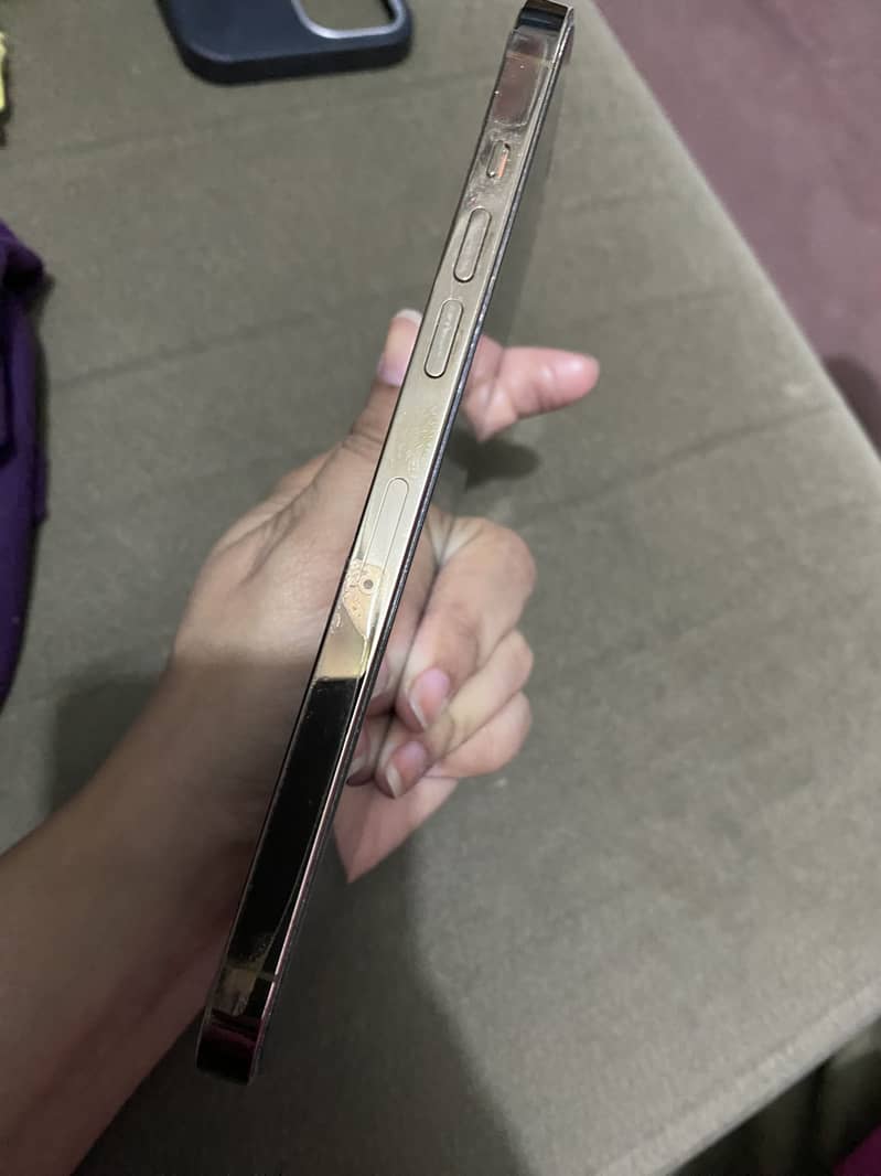 Apple iPhone 12 Pro Max 1