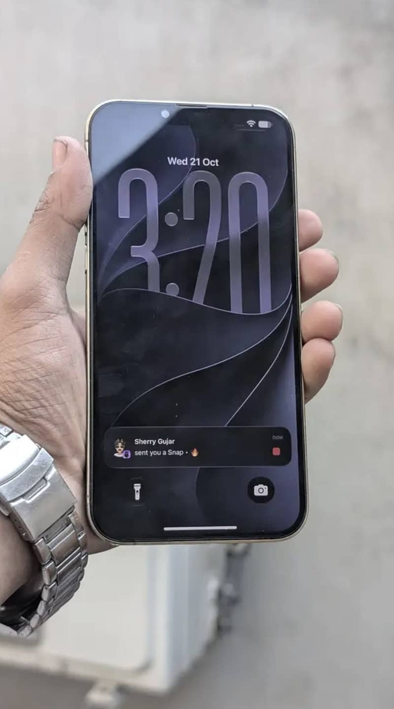 Apple iPhone 13 Pro Max 1