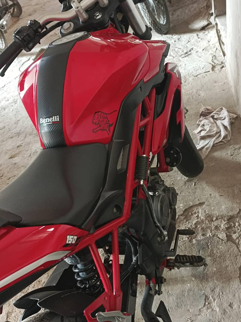Benelli mint condition 5