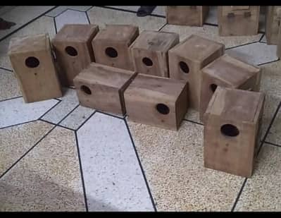 love birds keeker breeding boxes