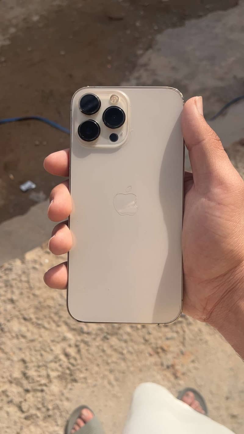 Apple iPhone 13 Pro Max 3