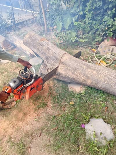 chainsaw services