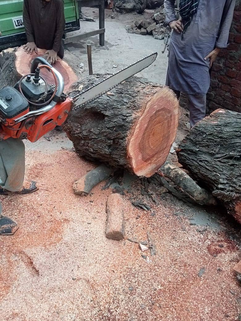 chainsaw services 1
