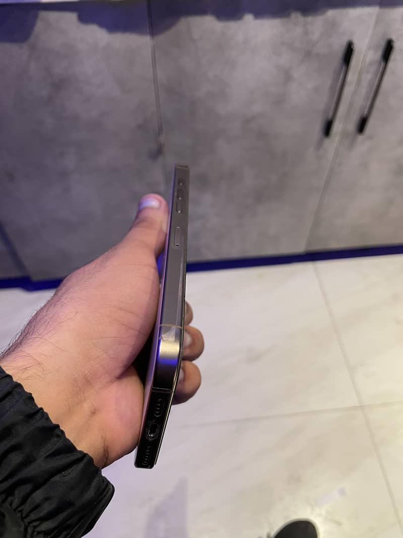 Apple iPhone 16 Pro Max 1