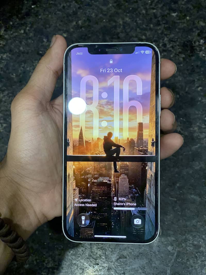 Apple iPhone 12 1