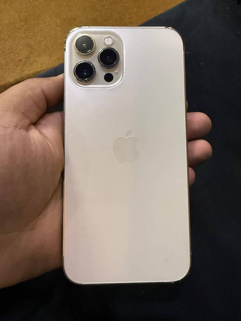 Apple iPhone 12 Pro Max 1