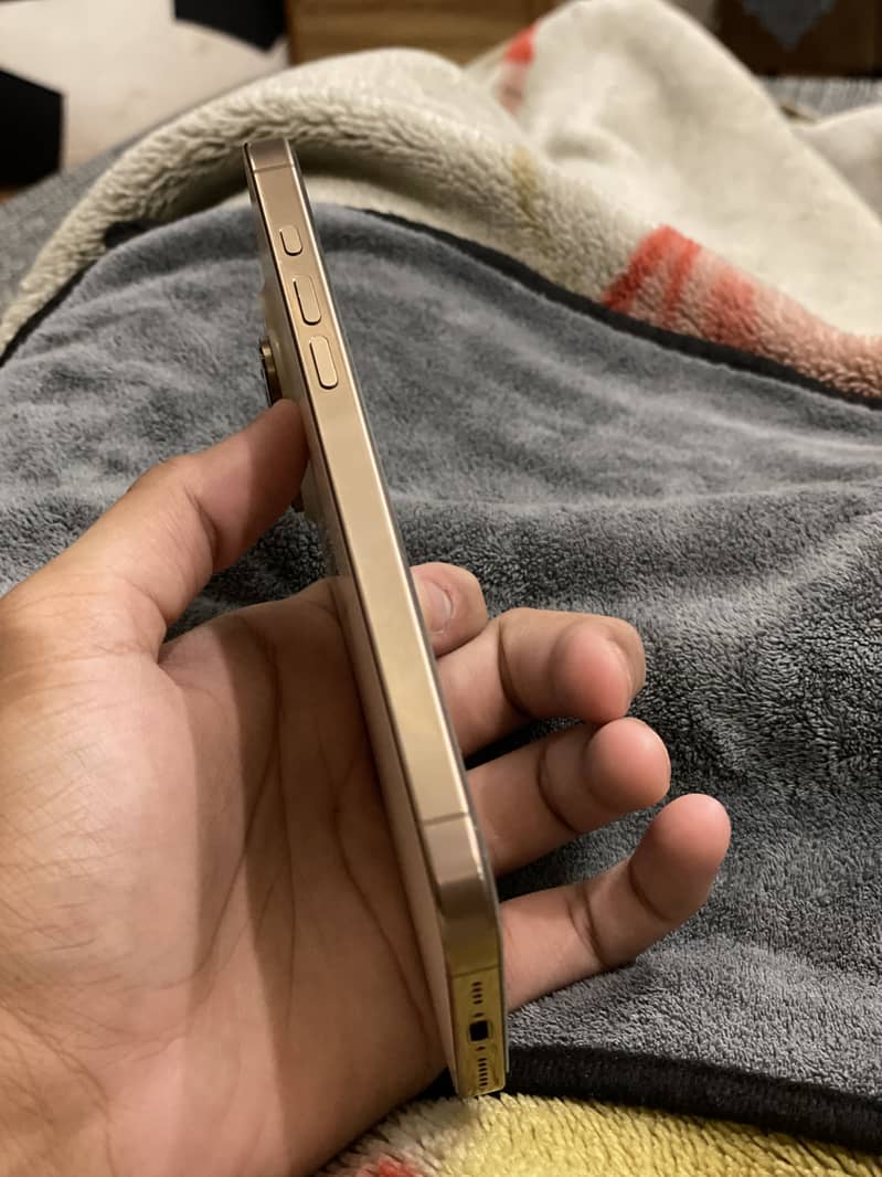 Apple iPhone 16 Pro Max 1