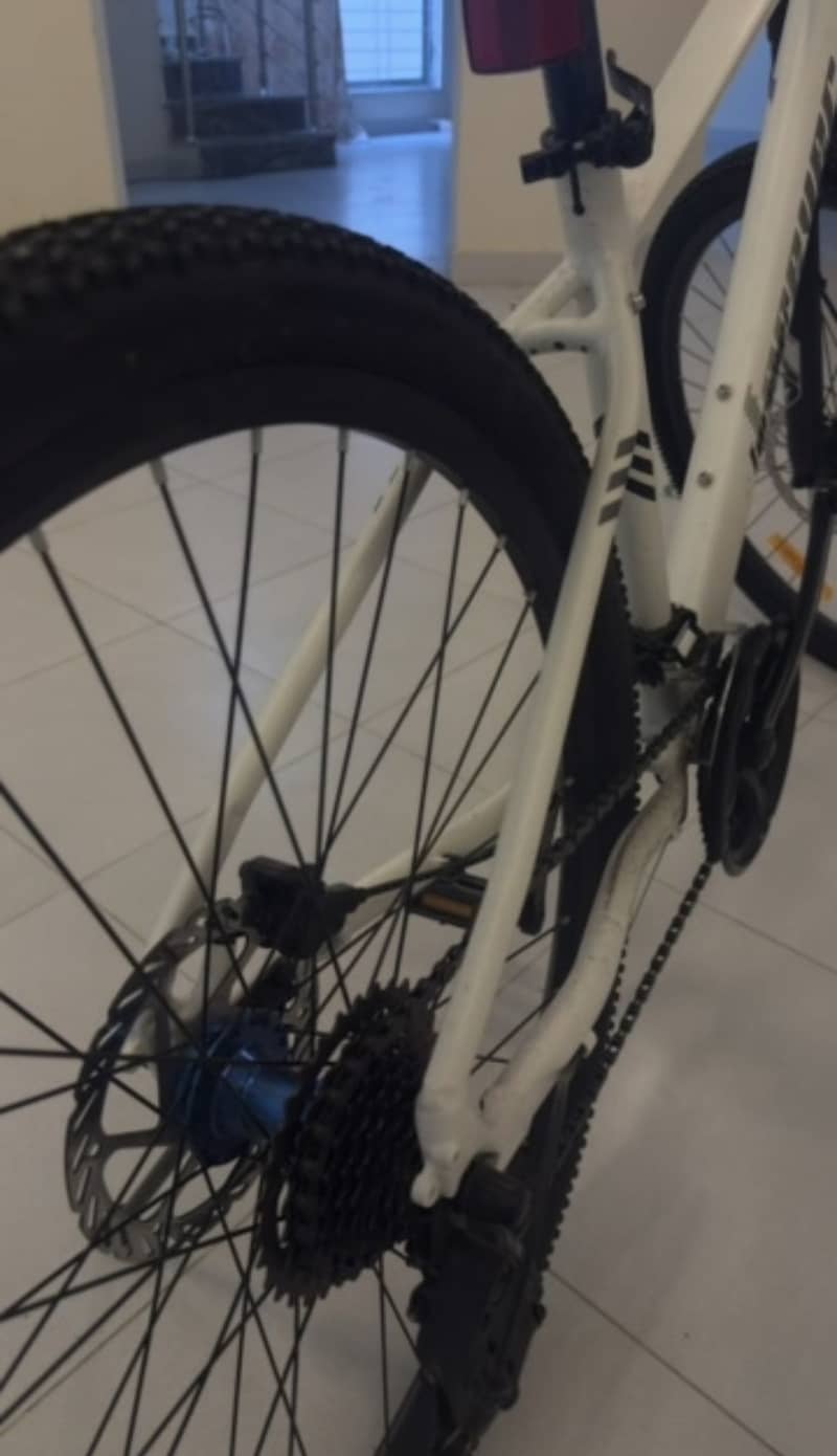 White bicycle 3