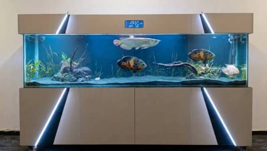 Custom & Ready-Made Aquariums | Rs. 4000 - 500,000 worth Aquariums