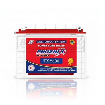 Phoenix tx 2500 tubbler battery