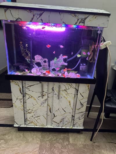 Aquarium for sale