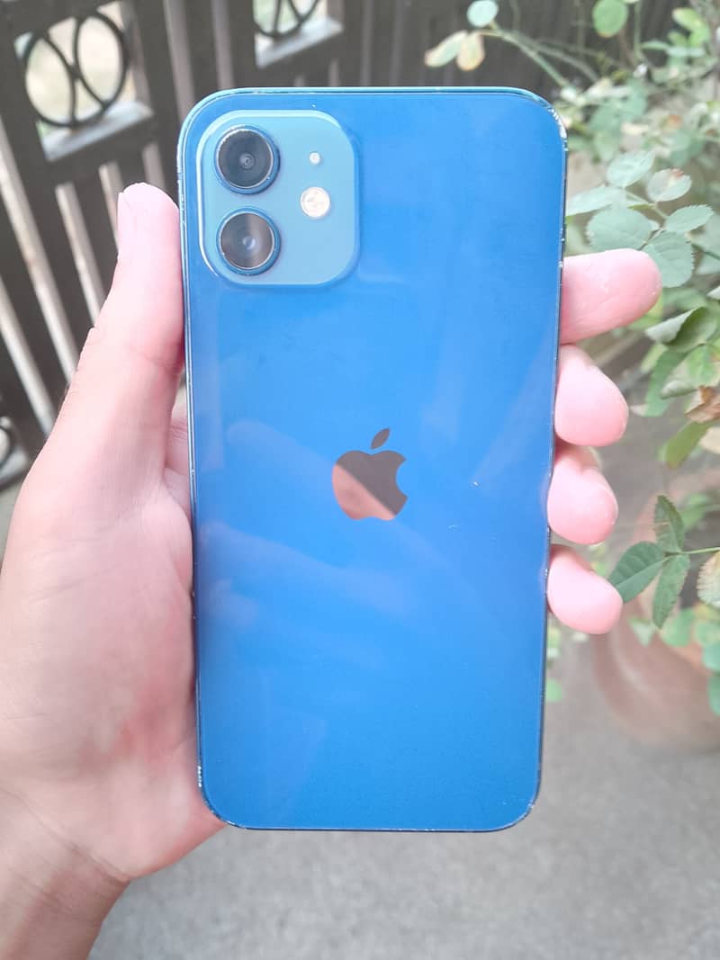 Apple iPhone 12 1