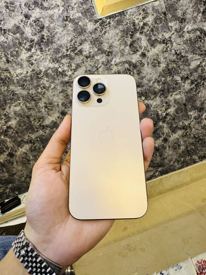 Apple iPhone 16 Pro Max 1