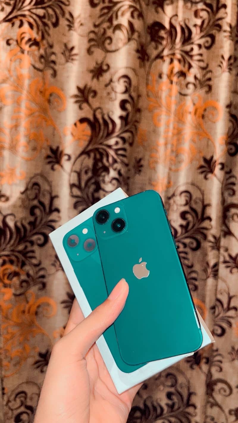 Apple iPhone 13 mini 1