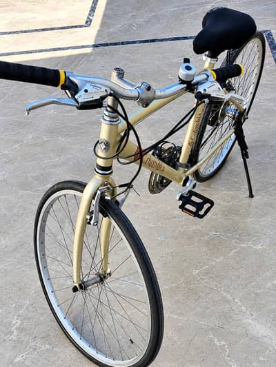 Imported Cycle for salr