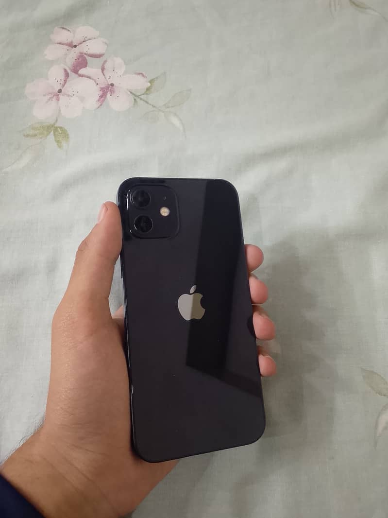 Apple iPhone 12 1