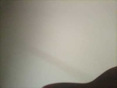 need female staff