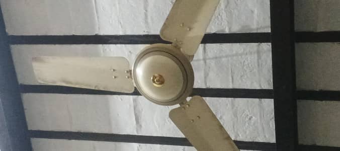 celling Fan For Sale