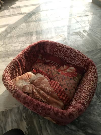 Red and Brown Animal Print Pet Bed with Blankets