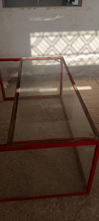 Caban for sale in Layyah