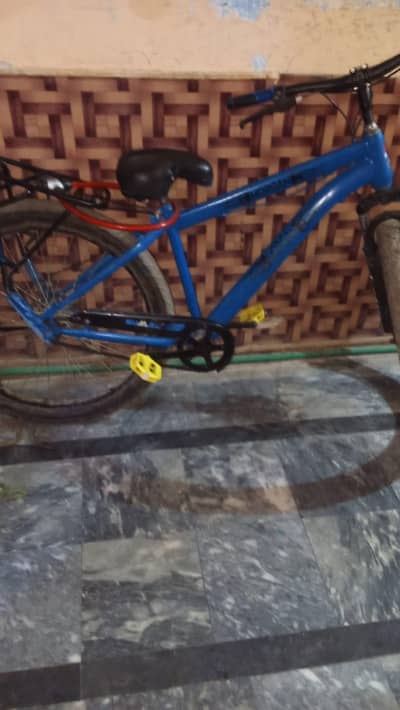 Streethawk 22inch Bicycle in Blue colour