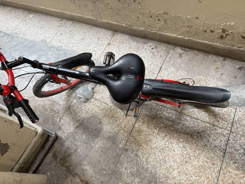 20” size. imported 2