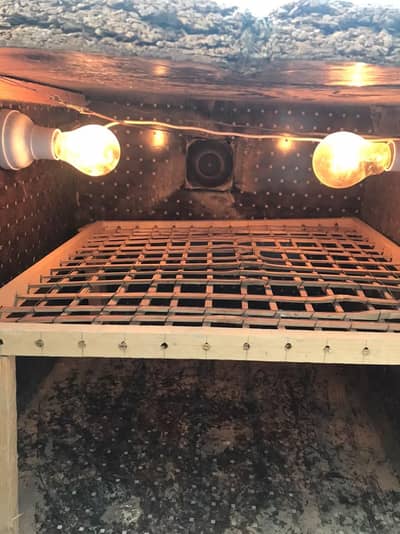 Egg incubator 50 to 70 egg