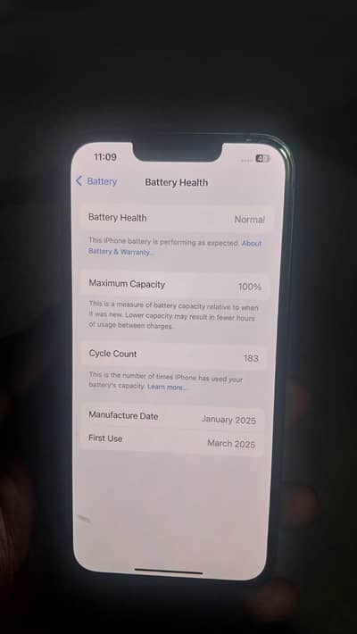 Apple iPhone 13