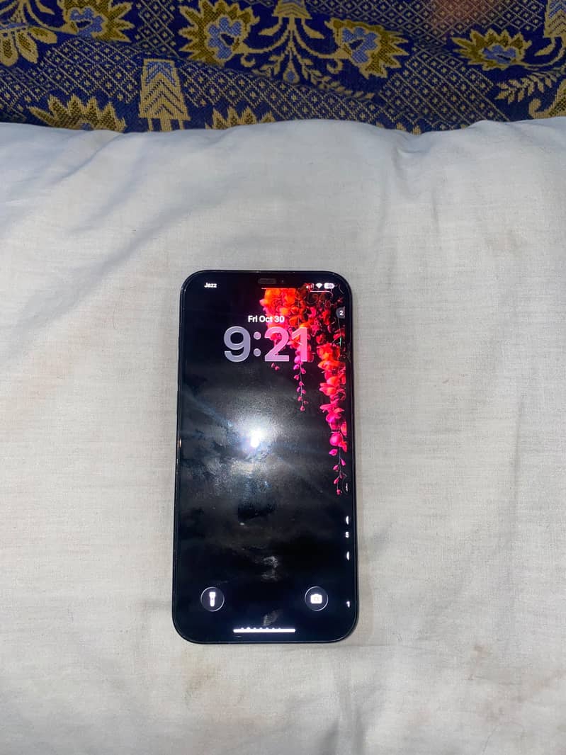 Apple iPhone 12 Pro Max 1