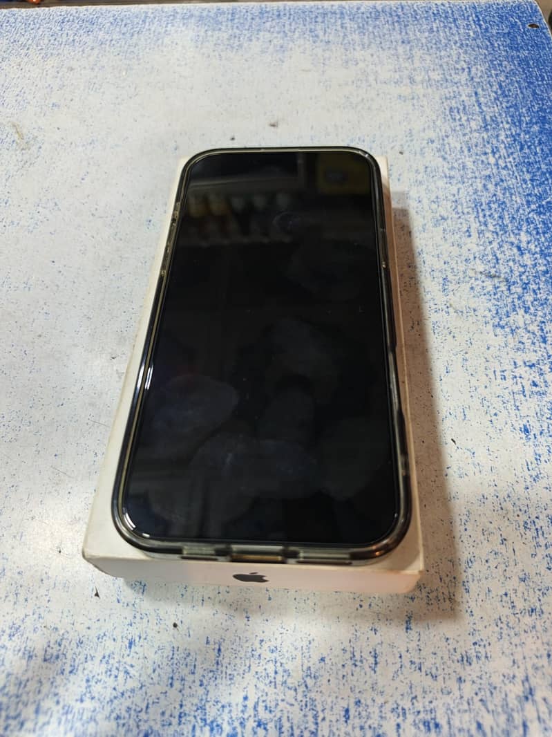 Apple iPhone 16 Pro Max 1