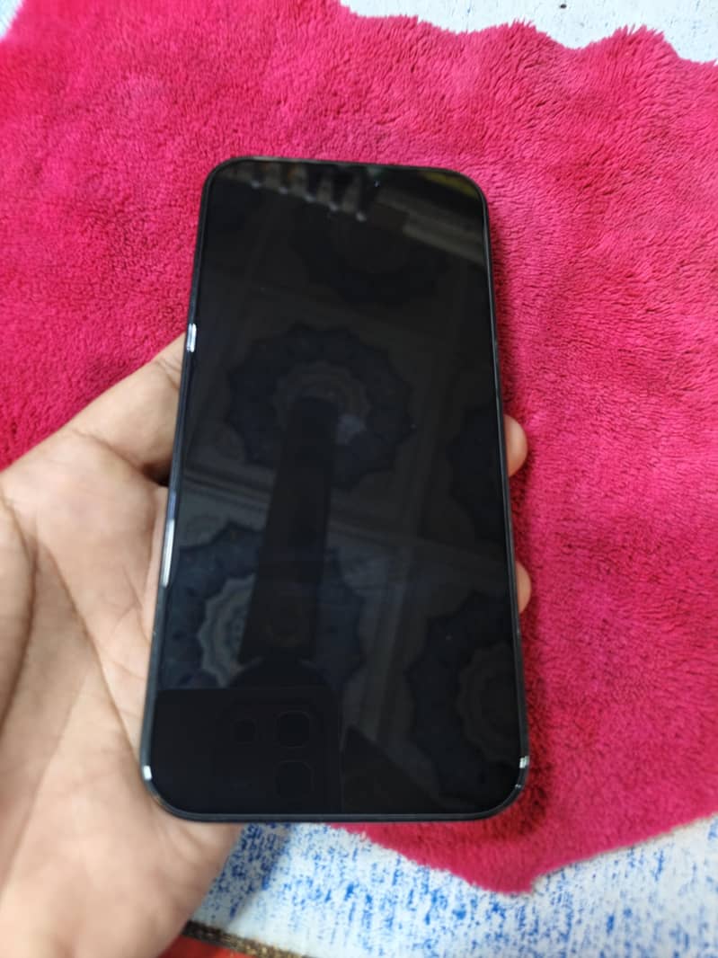 Apple iPhone 16 Pro Max 13