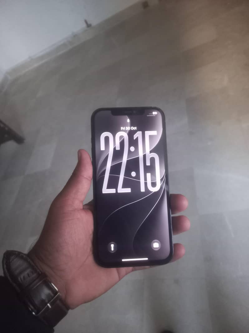 Apple iPhone 12 Pro Max 1