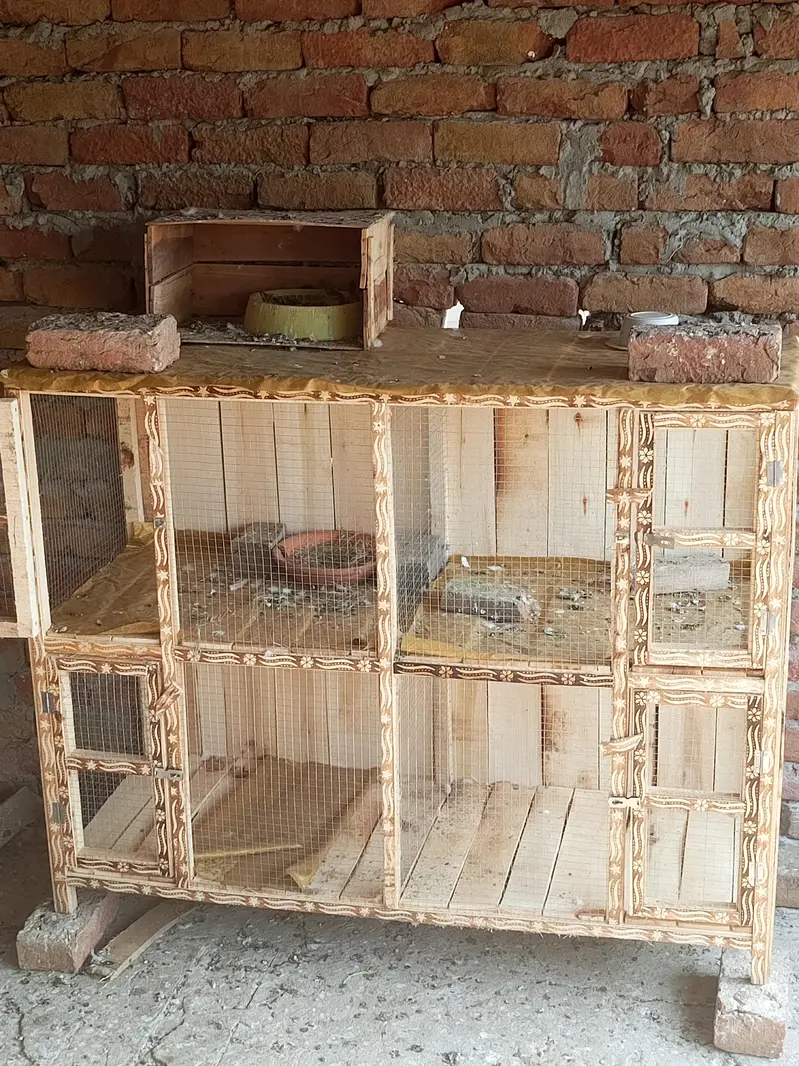 pigeons ky liye cage/kabak