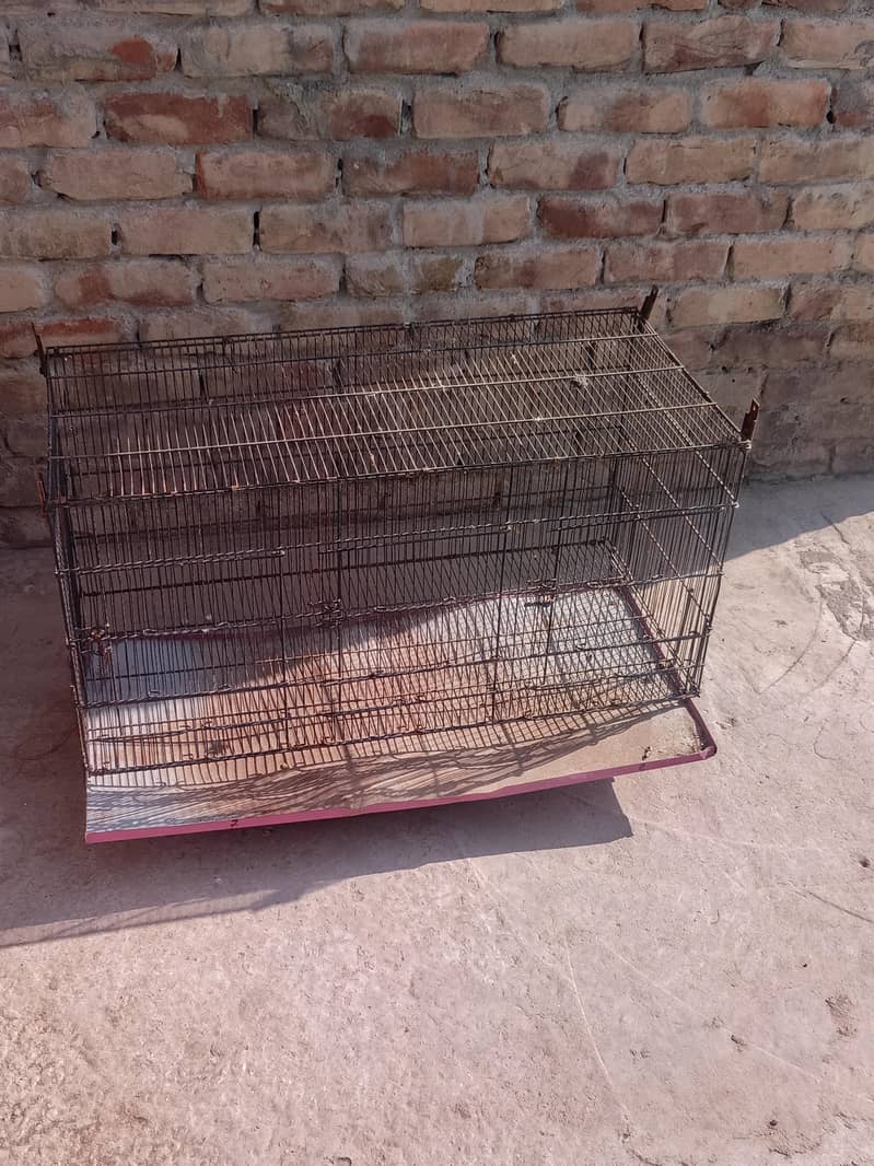 2 cage pinjry 0