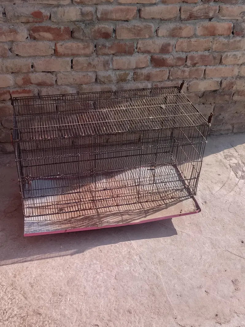 2 cage pinjry