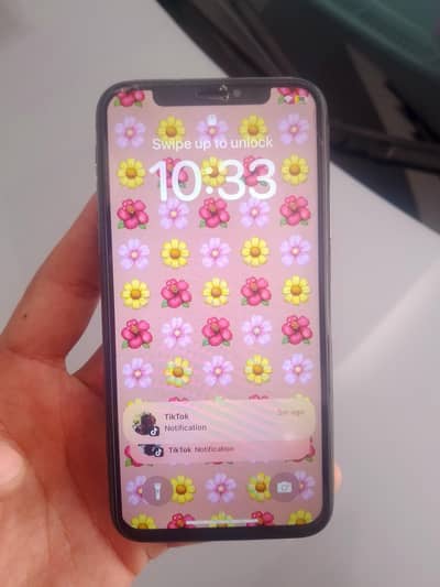 Apple iPhone X