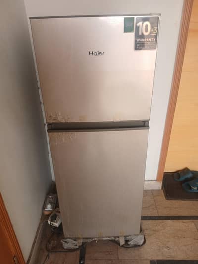 Haier Medium Size Fridge