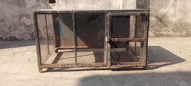 Iron Wire Cage