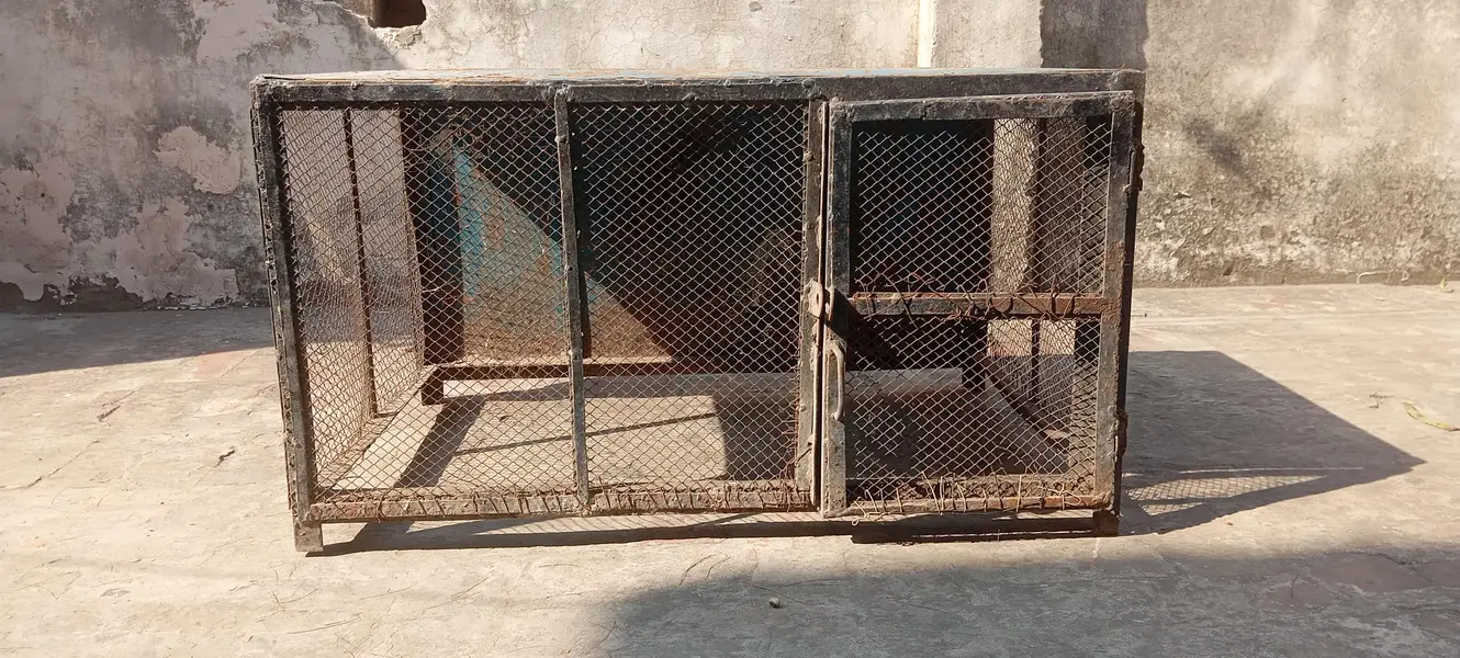 Iron Wire Cage