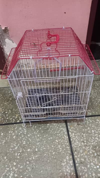 New condition birds cage for sale