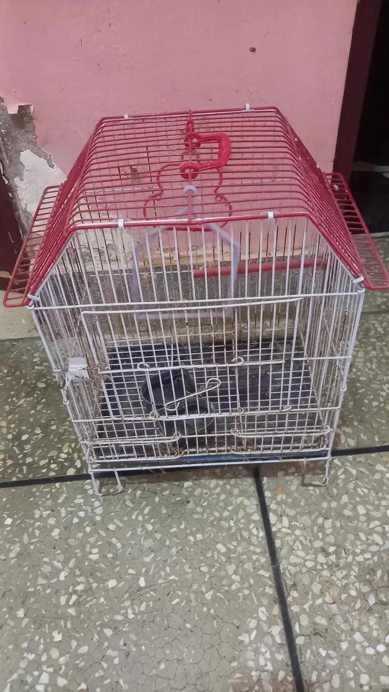 New condition birds cage for sale