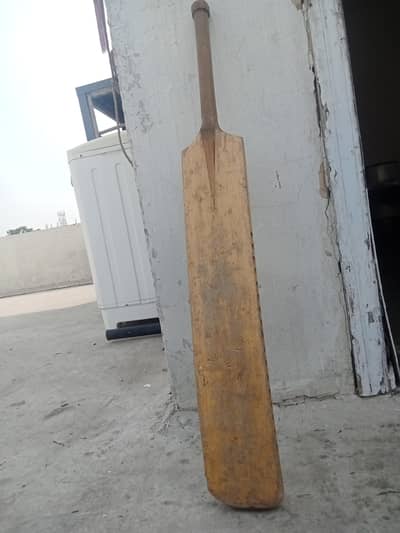 best bat