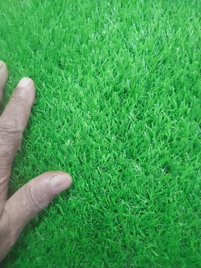 Grass,Rubber Mats,Teerpal,Chatai,GreenNet,PVC Transparent table covers