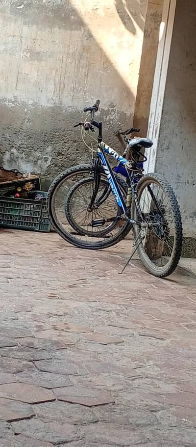 KENTON Bicycle