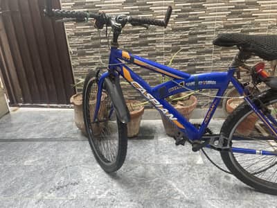 Caspian Bicycle for sale