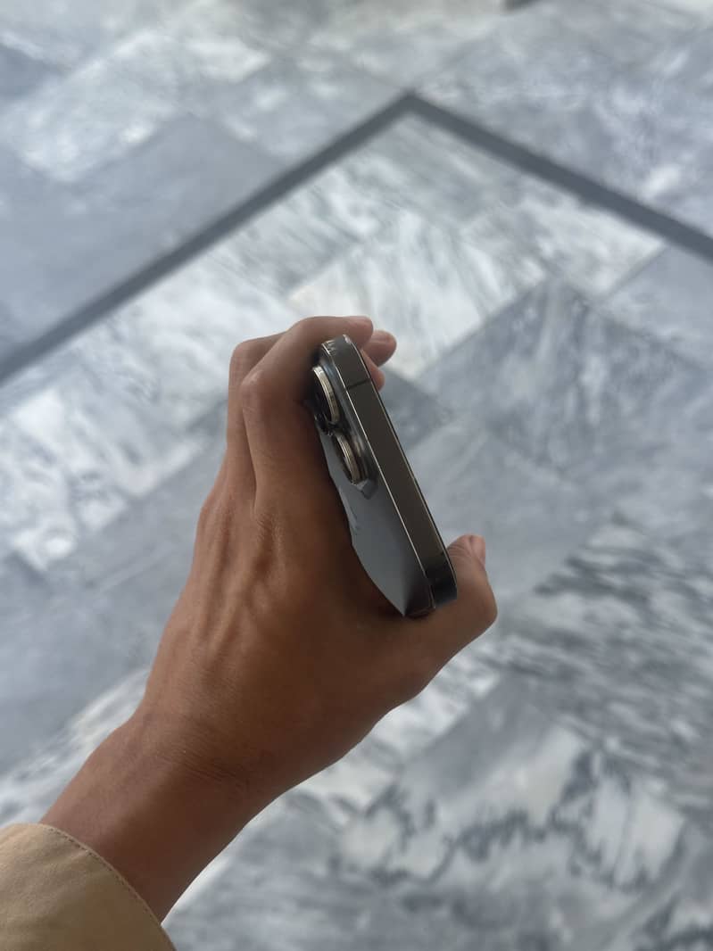 Apple iPhone 13 Pro Max 1