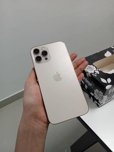 Apple iPhone 12 Pro Max
