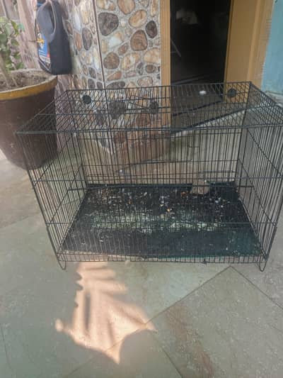 two birds cages on reasonable price