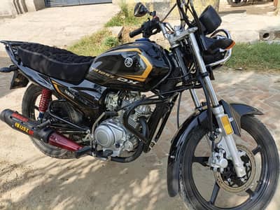 Yamaha YBZ DX 2026